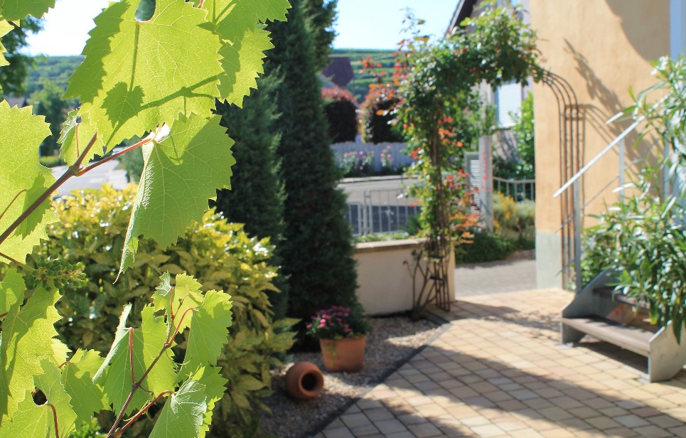 Ferienwohnung am Kaiserstuhl